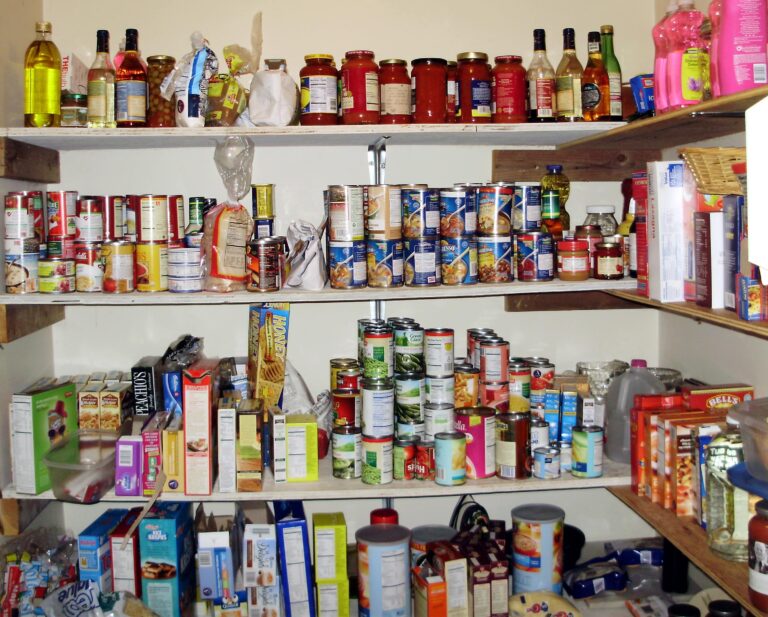 Conquer Your Kitchen: Ultimate Guide to Pantry Invaders in Avon, Ohio